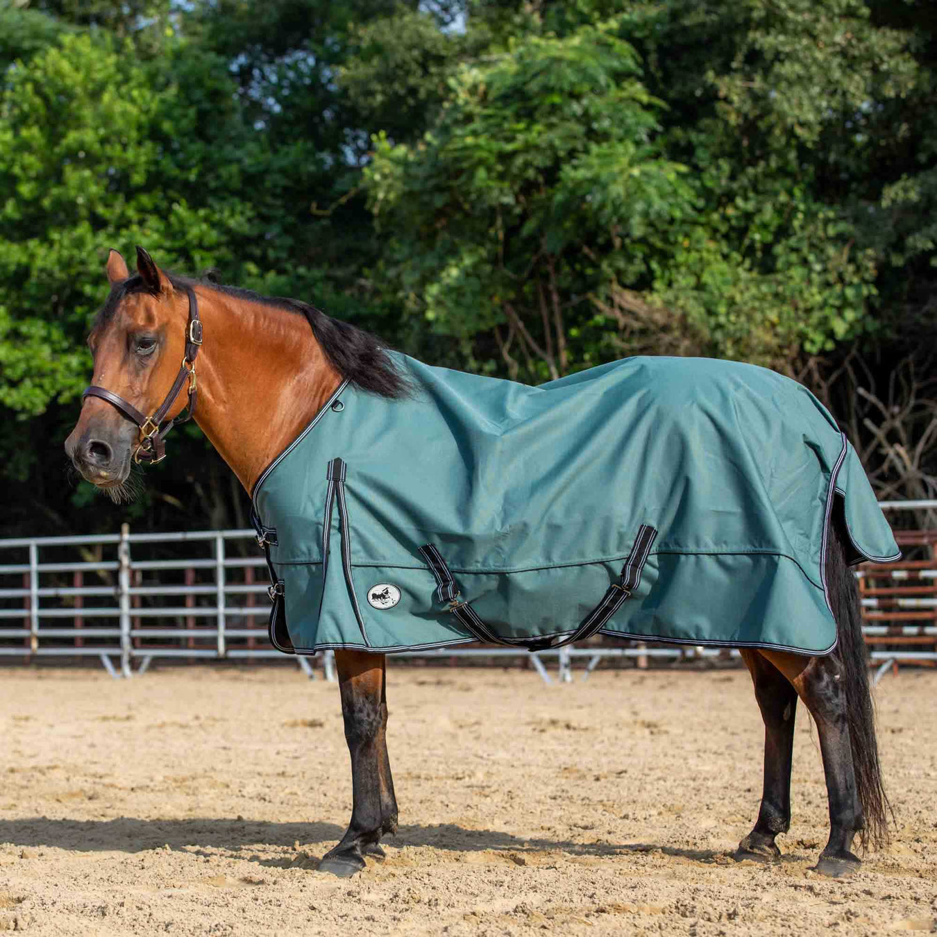 Liquidación de mantas, sábanas y mantas para caballos
