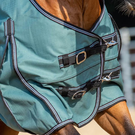 Jeffers Economy Plus Medium-weight Horse Turnout Blanket - 87 in  