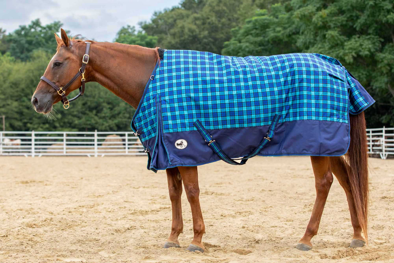 Jeffers Economy  600D "Royal Blue/Teal Plaid" Horse Blanket - 87 in  