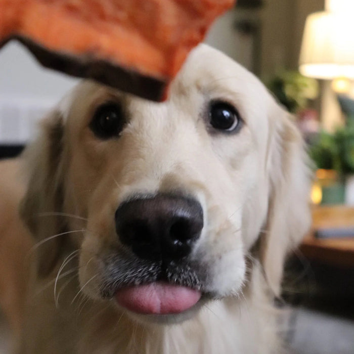 Sweet Potato Dog Chews – All Natural, Single Ingredient, Grain Free Treats for Dogs of All Sizes