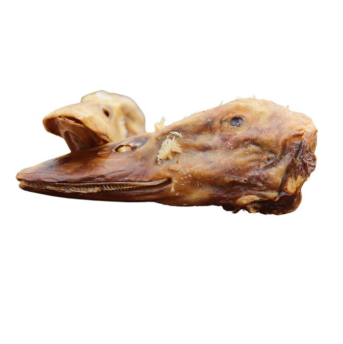 All-Natural Duck Head Dog Chews – High Protein, Single Ingredient, Made in USA
