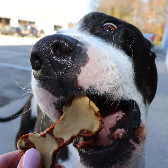 Sweet Potato Bones Dog Treats – All Natural, Limited Ingredient, Oven-Baked, Made in USA