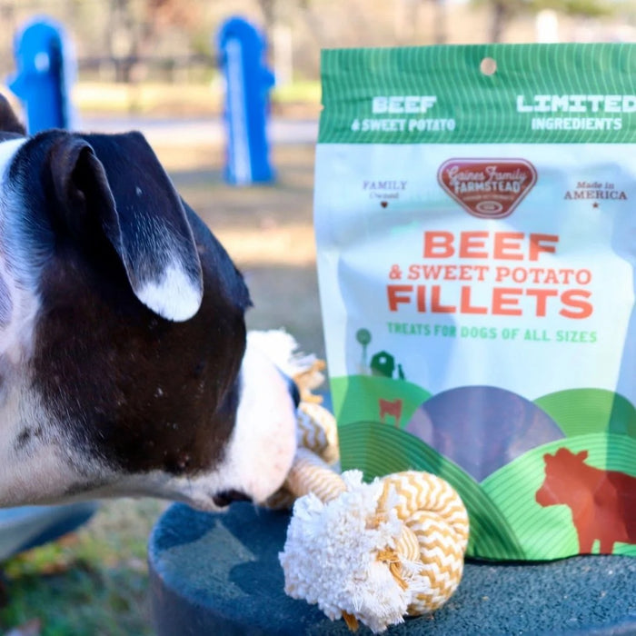 All Natural Meat & Sweet Potato Fillets Dog Treats – Limited Ingredient, Made in USA