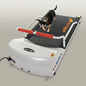 PetRun Toy Breed Treadmill (PR700) -   