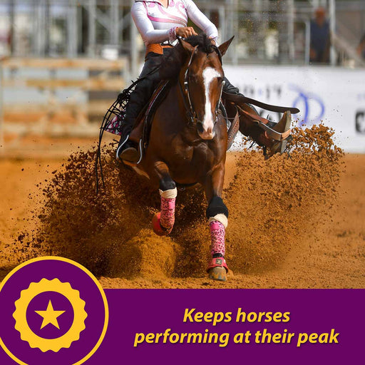 Maxum Crumbles for Horses - 25 lb Maxum® Crumbles