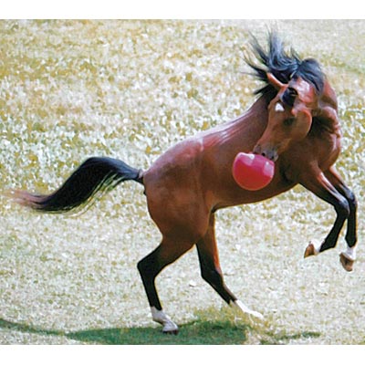 Original Jolly Ball, 10" Horse Toy -   