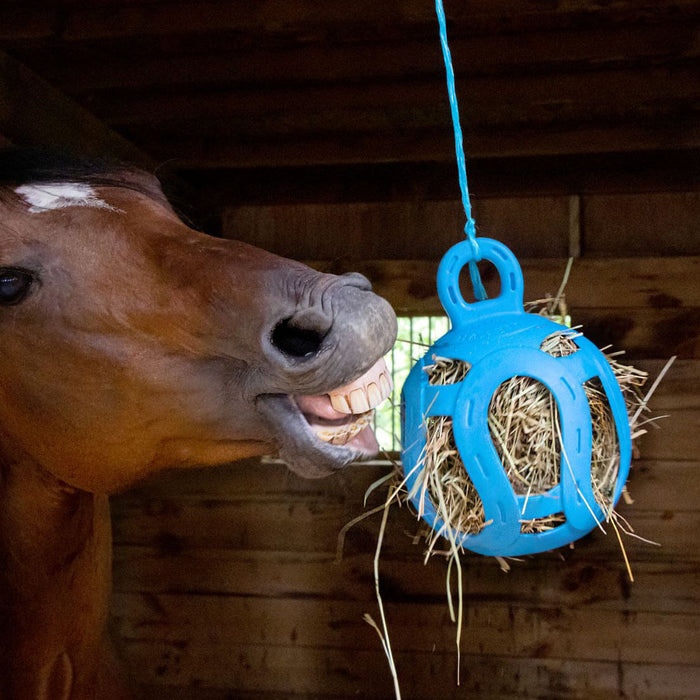 Jolly Hay Ball, 8" - Blue  