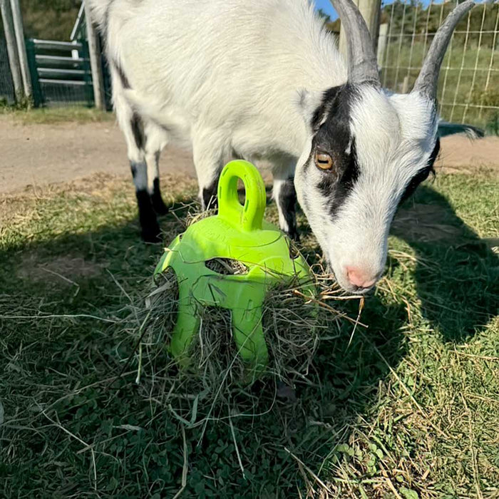 Bola de heno alegre, 8"