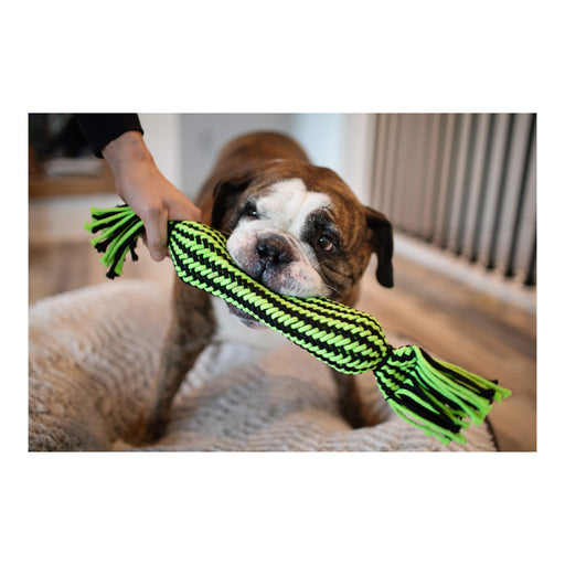 Knot-n-Chew Small/Medium Tube Squeaker Color Green/Black