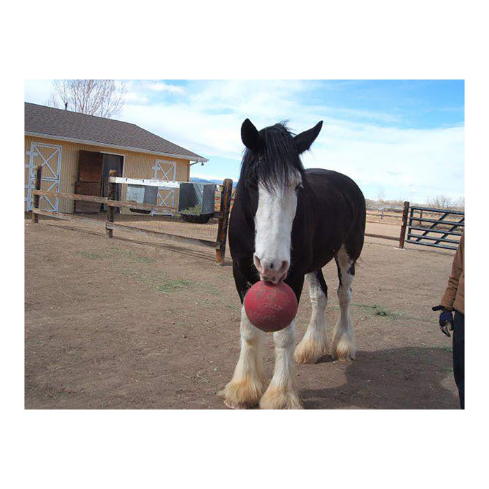 Jolly Ball Color Pink