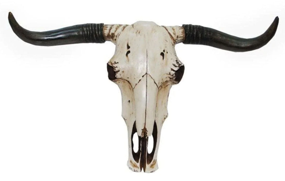 Steer Skull Western Wall Hanging Decor -   