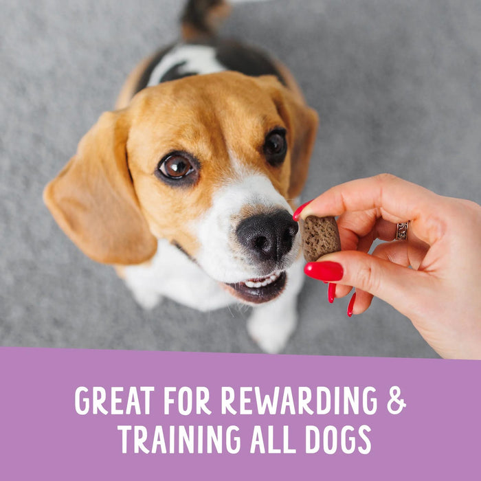 Crunchy Munchie Natural Treats for Dogs, 5 oz