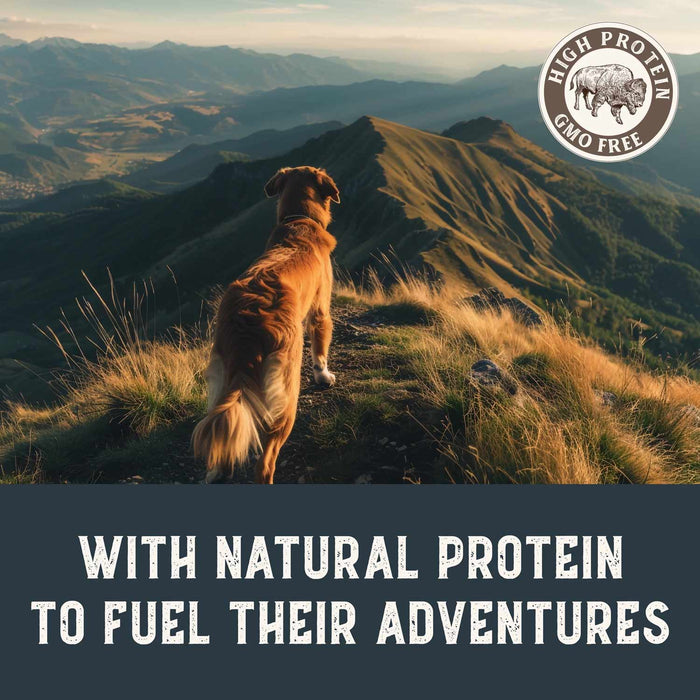 Health Extension Grain-Free Bison & Fish Jerky for Dogs