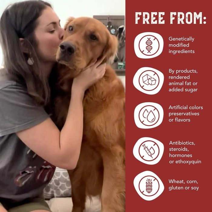 Health Extension Grain-Free Bison & Fish Jerky for Dogs