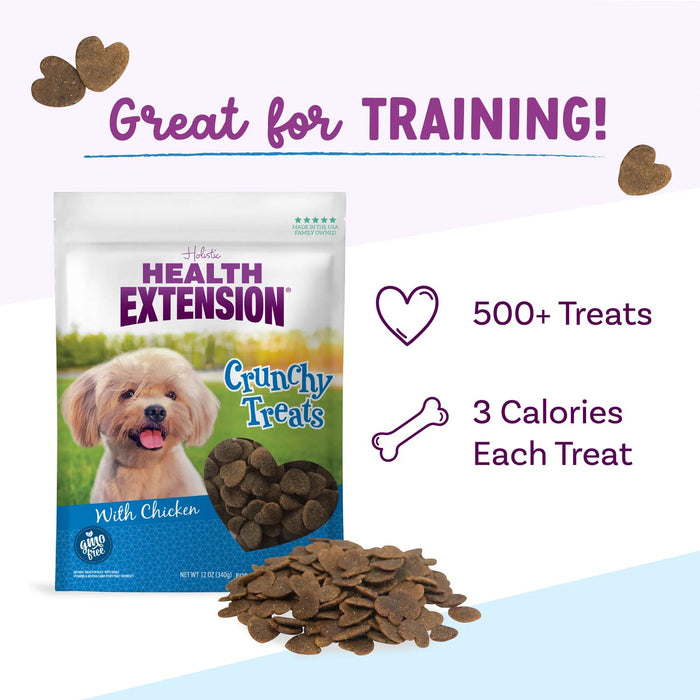 Health Extension Crunchy Heart-Shaped Cookie Dog Treats, Small, 12 oz
