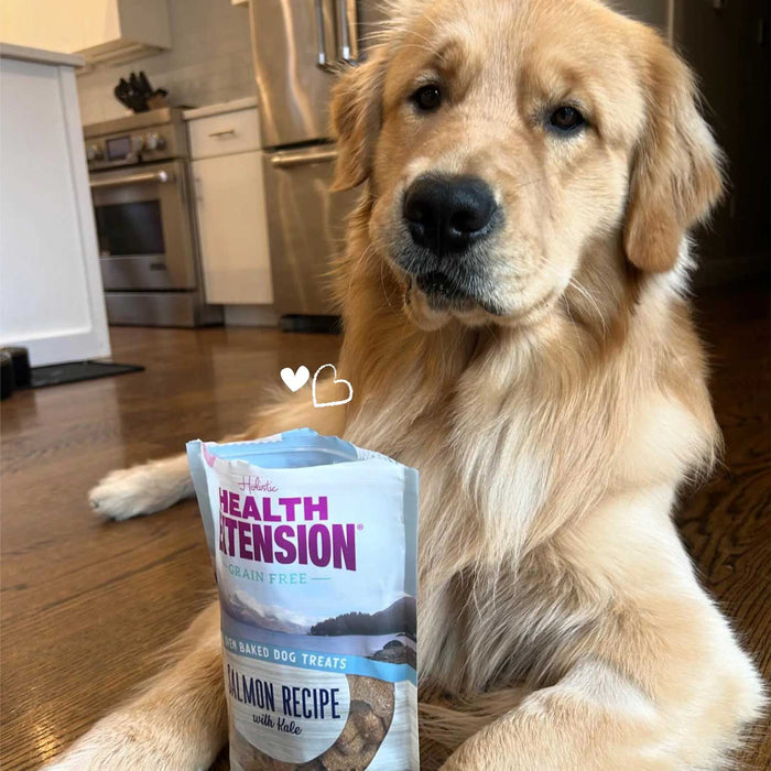 Health Extension Grain-Free Oven Baked Dog Treats, 6 oz