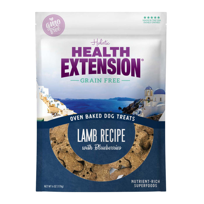 Health Extension Grain Free Oven Baked Salmon Recipe with Kale Dog Treats 6oz Size 6oz