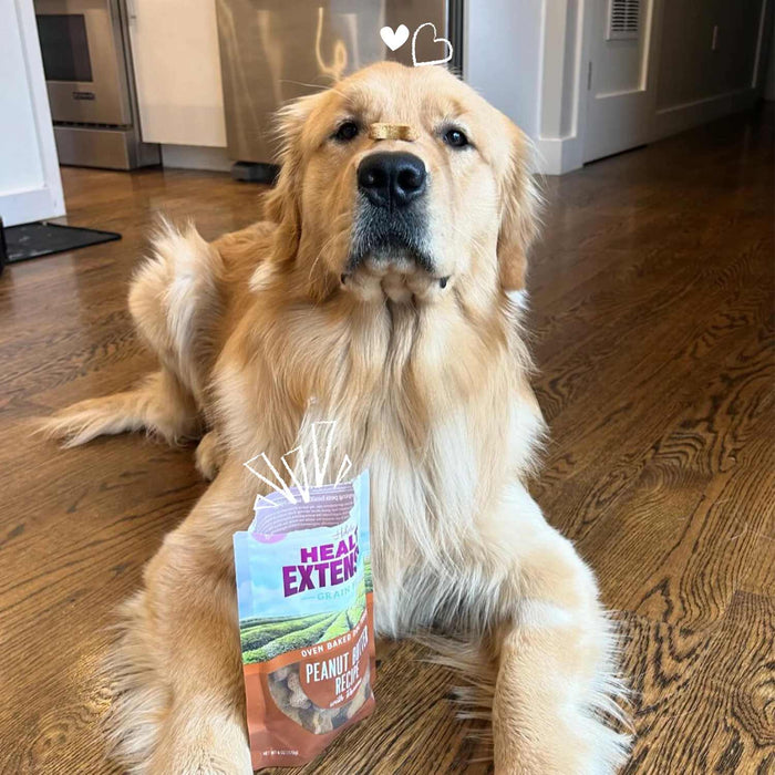 Health Extension Grain-Free Oven Baked Dog Treats, 6 oz