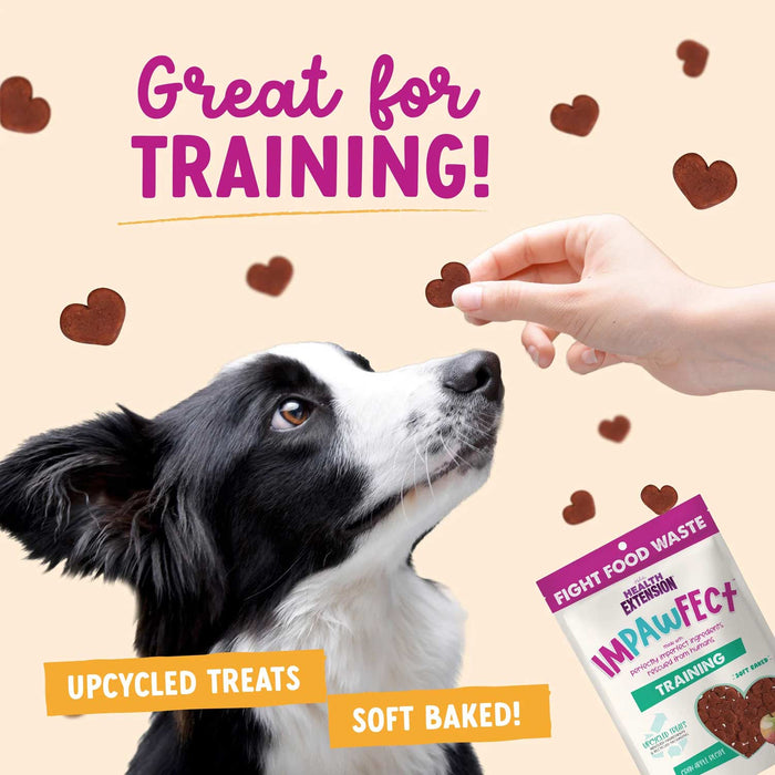 Health Extension Impawfect Bacon Recipe Training Treats for Dogs and Puppies, 4 oz