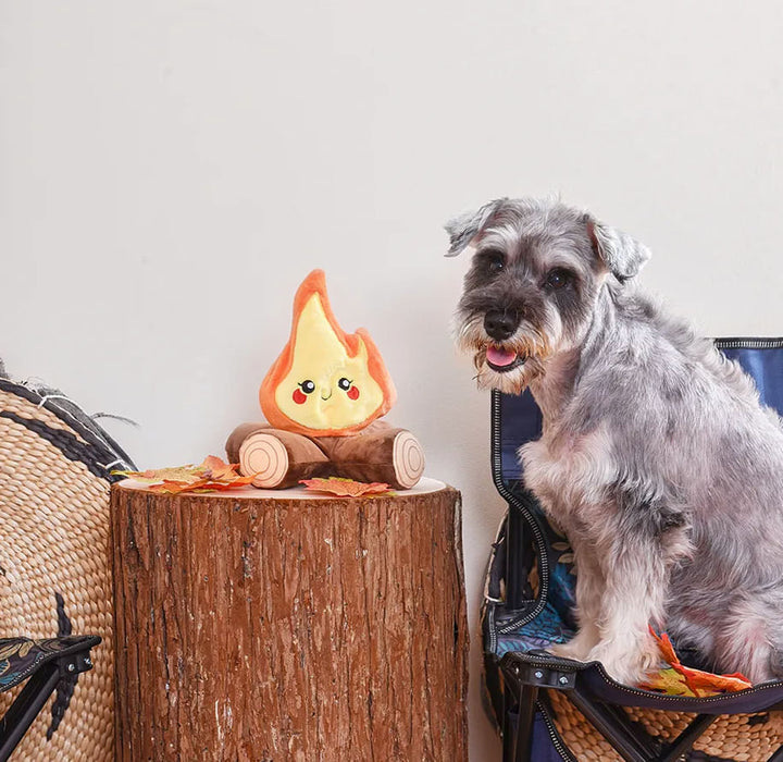 Campfire Camping Pups -   