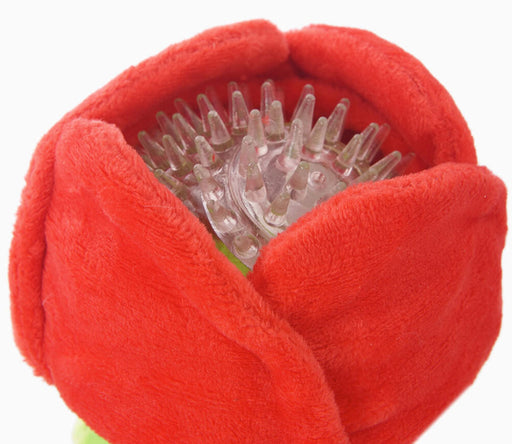 HugSmart Superball Rose Dog Toy -   