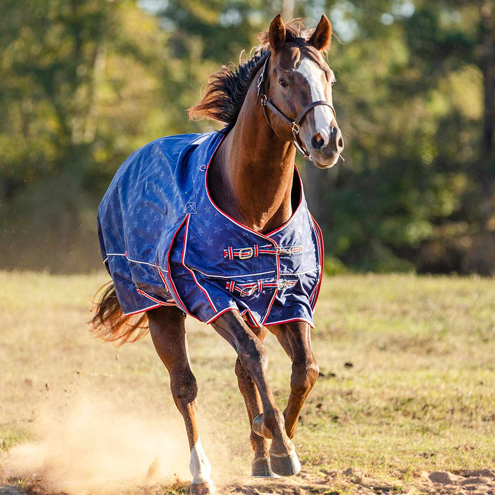 Horse Blankets & Turnout Sheets