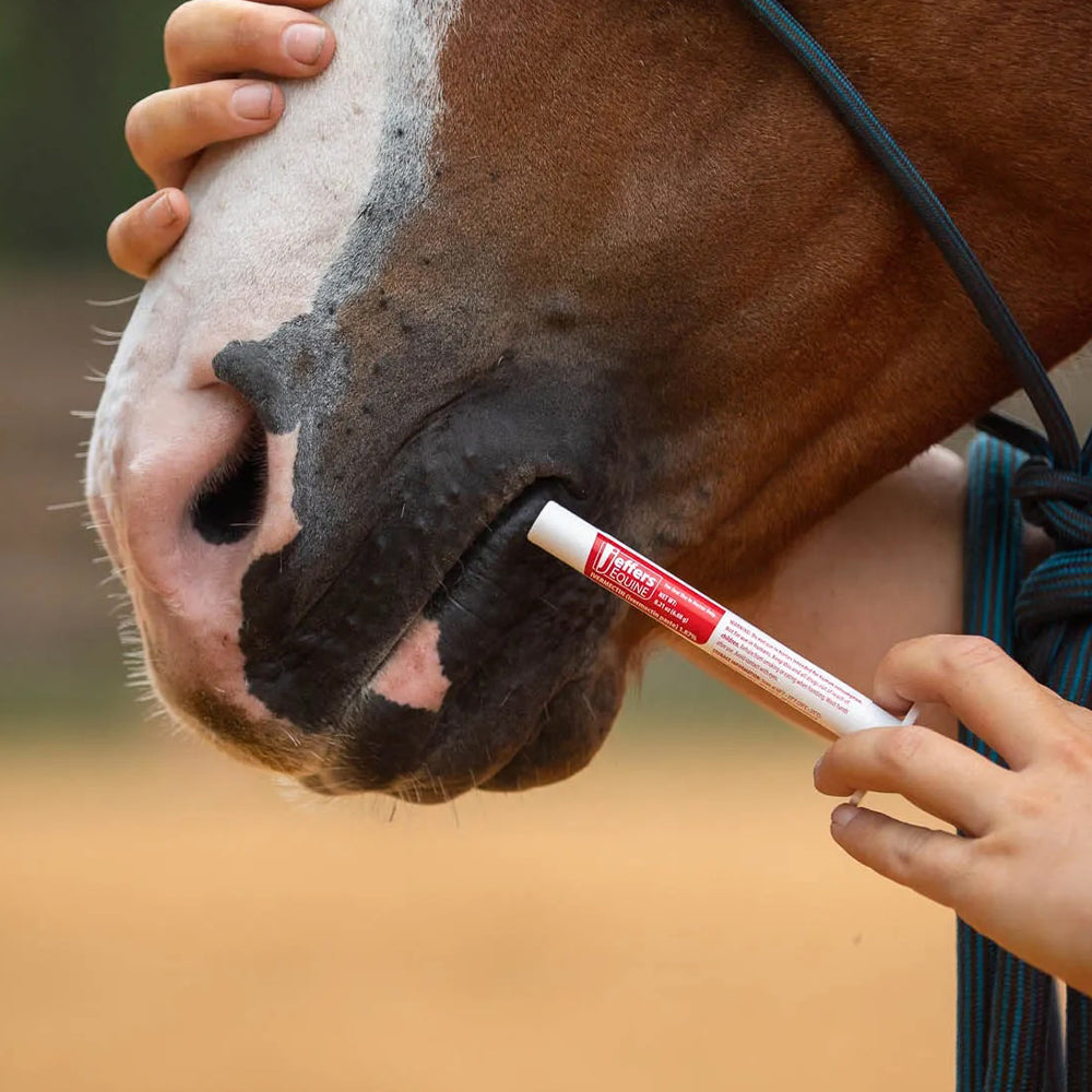 Desparasitantes para caballos