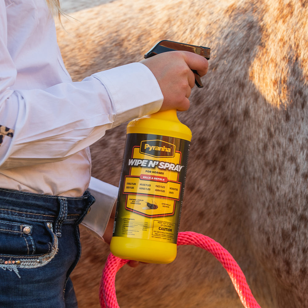 Horse Supplies, Accessories & Equipment Equestrian Store — Jeffers