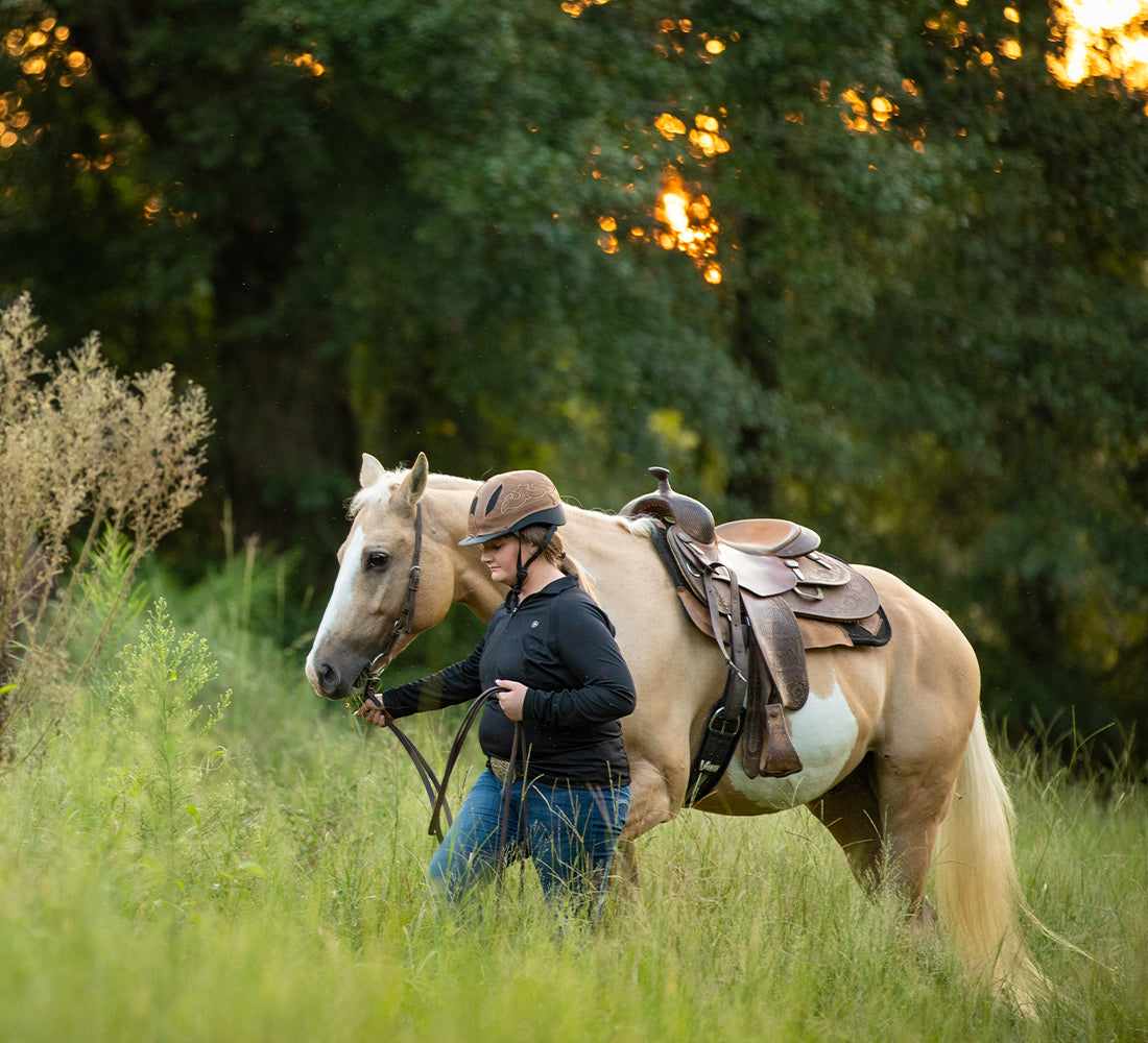 Horse Supplies, Accessories & Equipment Equestrian Store — Jeffers