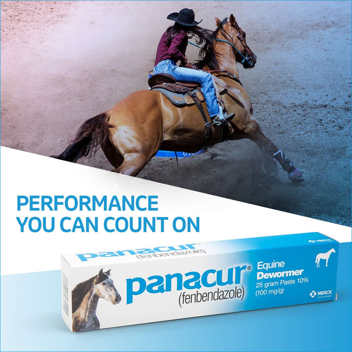 Panacur Equine Fenbendazole Dewormer Paste, 25 g
