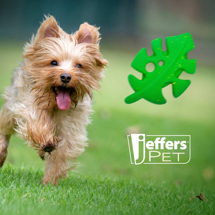 Jeffers Leaf Shaped Natural Rubber Dog Chew Toy with Dental Benefits and Vanilla Scent for Medium Chewers
