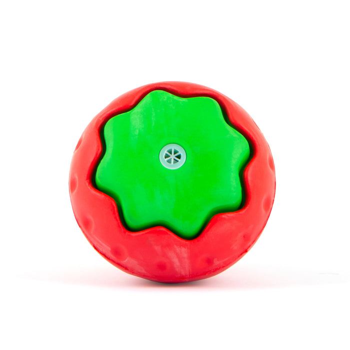 Jeffers Squeaky Strawberry Natural Rubber Dog Dental Chew Toy with Squeaker & Vanilla Scent for Medium Chewers