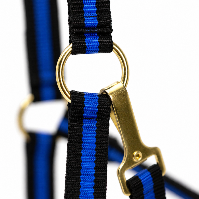 Cabestro acolchado para caballos con broche de presión de Jeffers