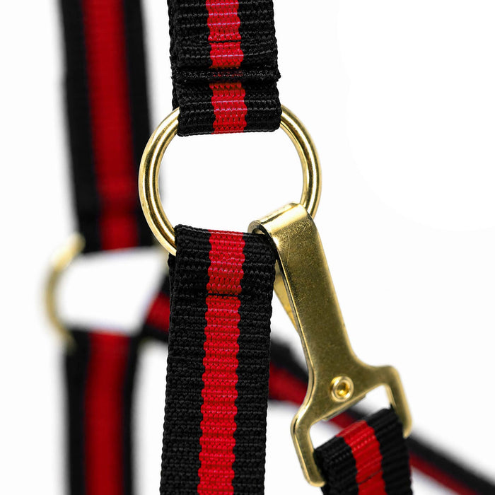 Cabestro acolchado para caballos con broche de presión de Jeffers