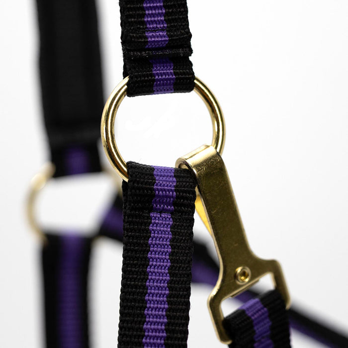 Cabestro acolchado para caballos con broche de presión de Jeffers