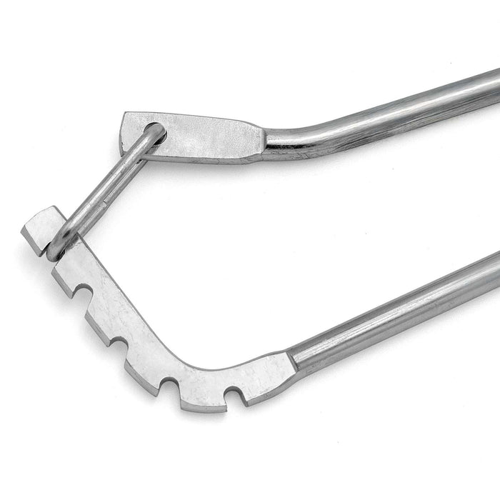 El caballo de un solo hombre se mueve