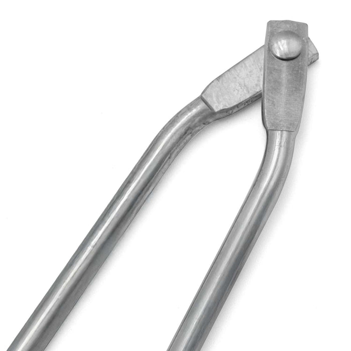 El caballo de un solo hombre se mueve