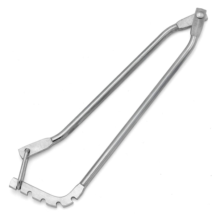 El caballo de un solo hombre se mueve