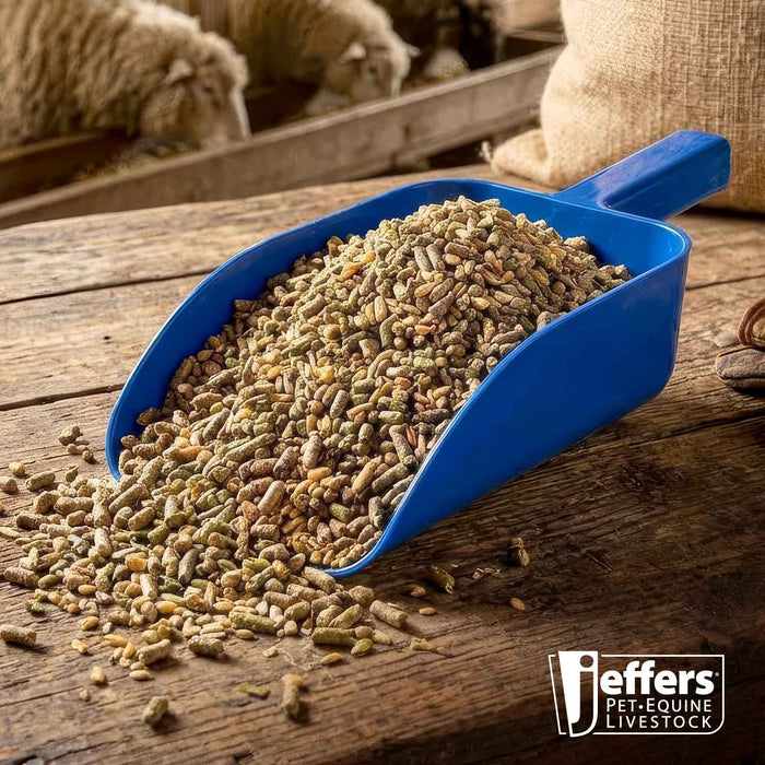Jeffers Horse & Livestock Feed Scoop, 5 Pint/2.5 Quart - IAP6 - Blue - 5 Pints (2.5 Quarts) - 1 - 6