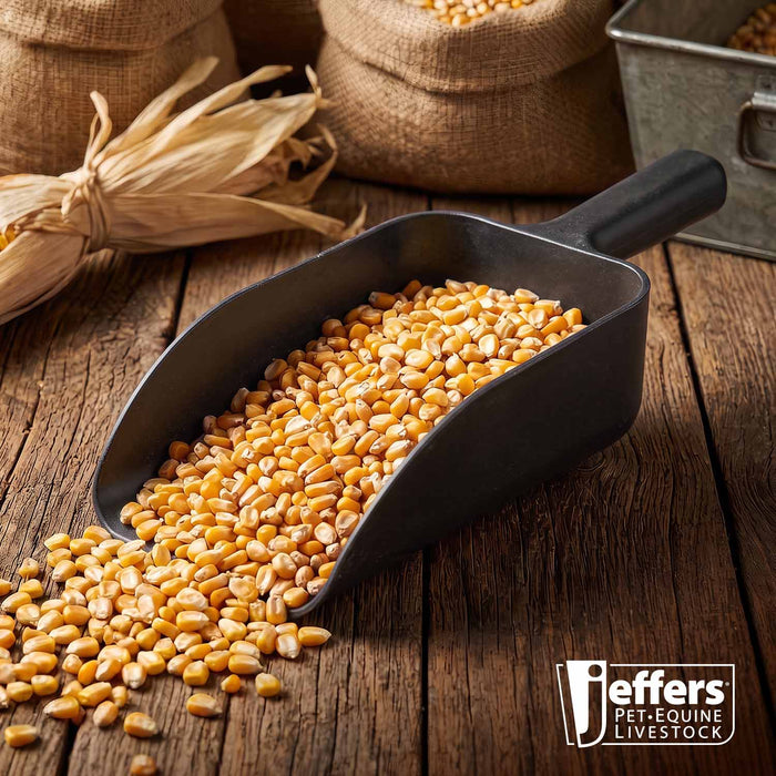 Jeffers Horse & Livestock Feed Scoop, 5 Pint/2.5 Quart - IAP7 - Black - 5 Pints (2.5 Quarts) - 1 - 8