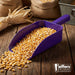 Jeffers Horse & Livestock Feed Scoop, 5 Pint/2.5 Quart - IAU9 - Purple - 5 Pints (2.5 Quarts) - 1 - 14