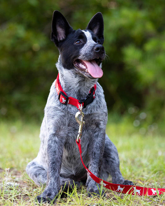 Reflective Hound Series 5/8" Collars, 10-16" - Red  