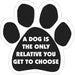 PAW Magnets, each - Obedience School Dro  