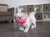 Flying Pig Dog Toy, Mini -   