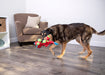 Dinos Frills Triceratops Dog Toy - Large  