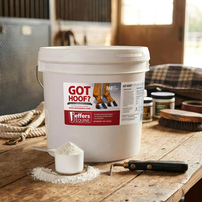 Jeffers Got Hoof? Hoof Builder Supplement for Horses