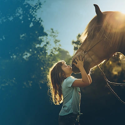Little girl petting a horse with a forest background