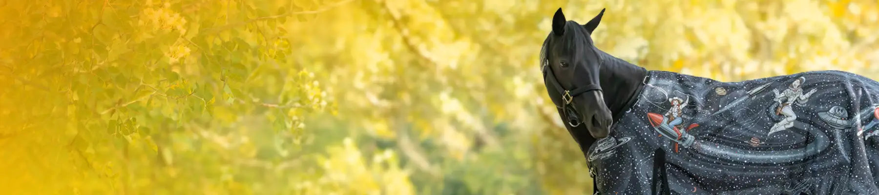 Fall equine catalog 2026. A black horse wearing a Jeffers Expression Cosmic Cowgirl blanket standing outdoors against a bright yellow autumn foliage background.