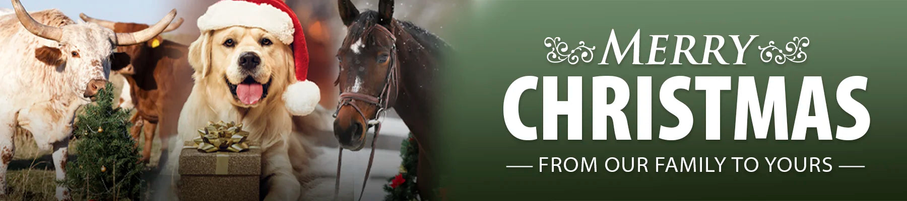 Merry Christmas From Jeffers graphic with festive animals
