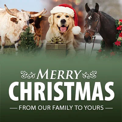 Merry Christmas From Jeffers graphic with festive animals